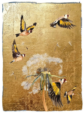 JACKIE MORRIS - JM4101 - Charm On, Goldfinch