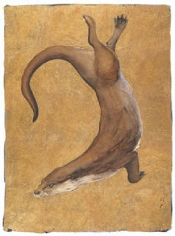 JACKIE MORRIS - JM8024 - Lost Words - Signed Limited Edition Print - Otter