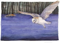 JACKIE MORRIS - JM8125 - Enter The Woods With Care