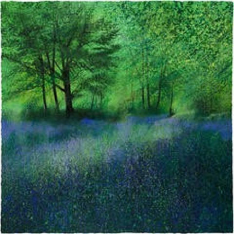 PAUL EVANS - Signed Limited Edition Print - Secret Bluebells