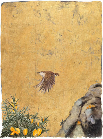 JACKIE MORRIS - JM8027 - Lost Words - Signed Limited Edition Print - Wren