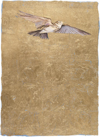 JACKIE MORRIS - JM8026 - Lost Words - Signed Limited Edition Print - Lark