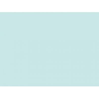 Canson Mi-Teintes Pastel Paper 160gms 102