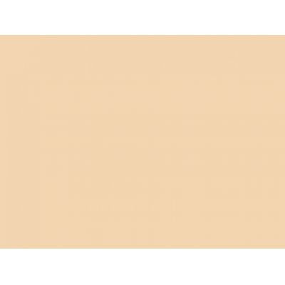 Canson Mi-Teintes Pastel Paper 160gms 340