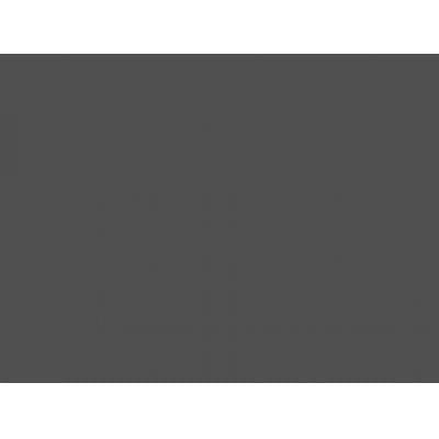 Canson Mi-Teintes Pastel Paper 160gms 345