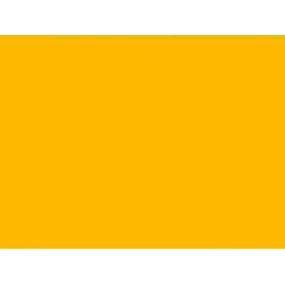 Canson Mi-Teintes Pastel Paper 160gms 400