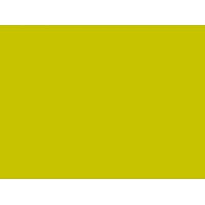 Canson Mi-Teintes Pastel Paper 160gms 480