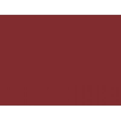 Canson Mi-Teintes Pastel Paper 160gms 503