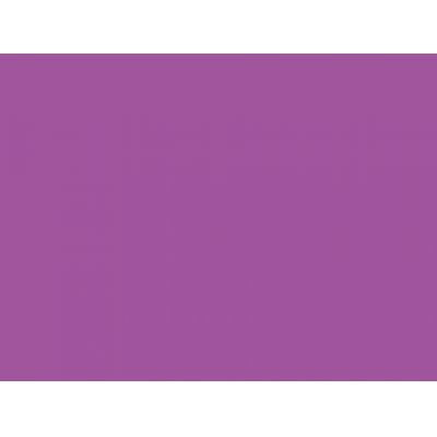 Canson Mi-Teintes Pastel Paper 160gms 507