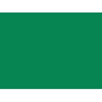 Canson Mi-Teintes Pastel Paper 160gms 575