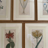 Stained Oak - A3 Dark Oak