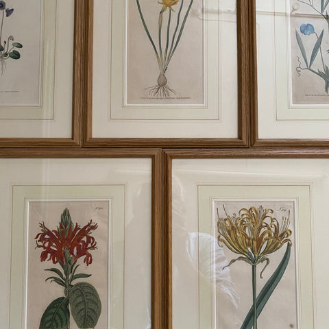 Stained Oak - A3 Dark Oak