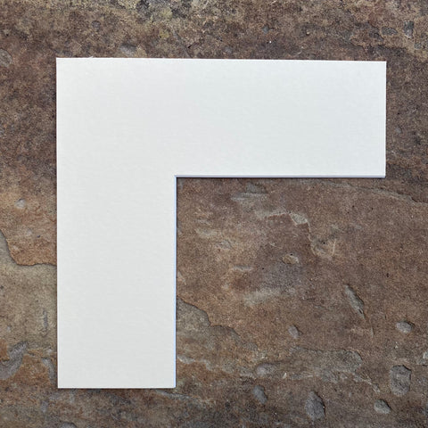 Plain Conservation Mount